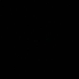 Meet your Posher, Britney